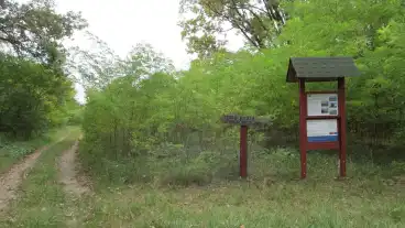 Kecel Rozsaberek Tanosveny