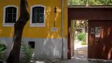 Kecskemet Bozso Gyujtemeny 1