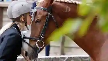 Kecskemet Fulop Lovasiskola 1