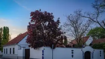 Kecskemet Nemzetkozi Keramia Muhely 1