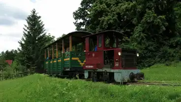 Kemence Erdei Kisvasut 1