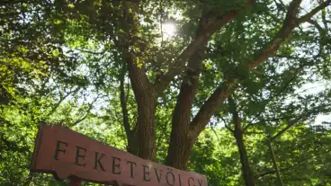 Kemence Strazsa Hegyi Tanosveny