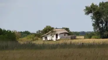 Kerekegyhaza Halasz Tanya