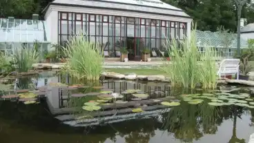 Keszthely Palmahaz Es Madarpark 1