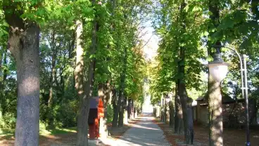 Kimle Gesztenyesor 01