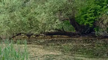 Kirandulastervezo Babocsa Erzsebet Szigeti Tanosveny