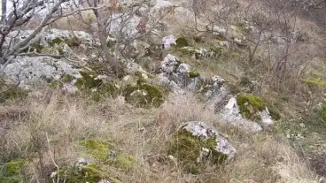 Kirandulastervezo Babocsa Merus Erdo Tanosveny