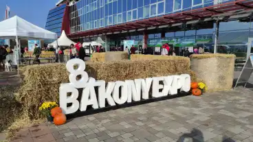 Kirandulastervezo Bakony Expo 1