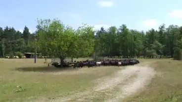 Kirandulastervezo Barcs Borokas Tanosveny