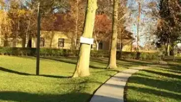 Kirandulastervezo Beleg Park