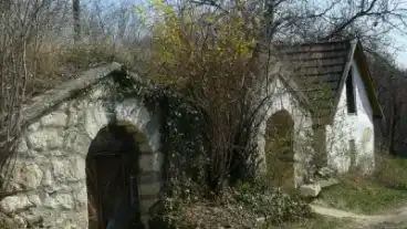 Kirandulastervezo Ber Pincesor