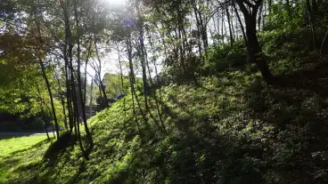 Kirandulastervezo Berzence Vardomb