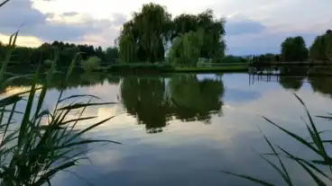 Kirandulastervezo Bicserd Horgaszto