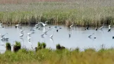 Kirandulastervezo Bikacs Kistape Lapret
