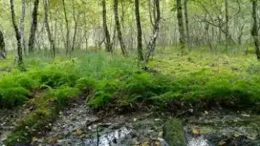 Kirandulastervezo Bodvaszilas Zsombolyos Tanosveny