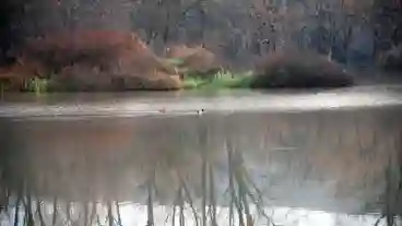 Kirandulastervezo Bonyhad Tozegtavak