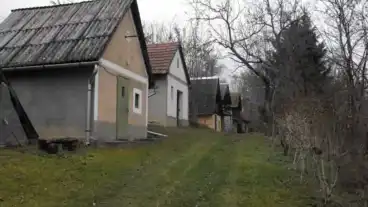 Kirandulastervezo Borsodgeszt Pincesor