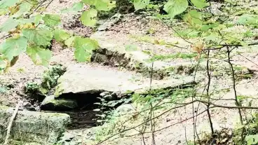 Kirandulastervezo Bujak Egidius Forras 01