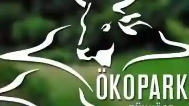 Kirandulastervezo Bukkosd Okopark 1