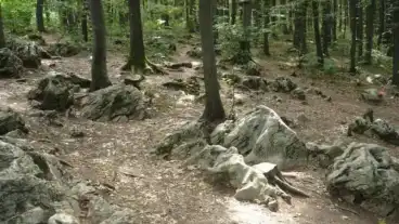 Kirandulastervezo Bukkszentkereszt Boldogasszony Kove