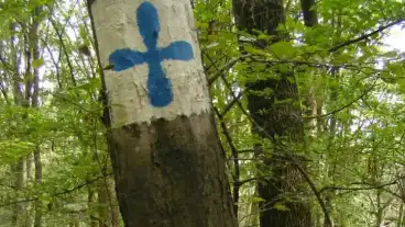 Kirandulastervezo Bukkszentkereszt Holdviola Tanosveny