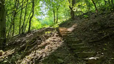 Kirandulastervezo Bukkzsercszent Erzsebet Forras 003