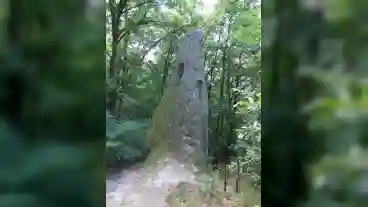 Kirandulastervezo Cserepfalu Kaptarko