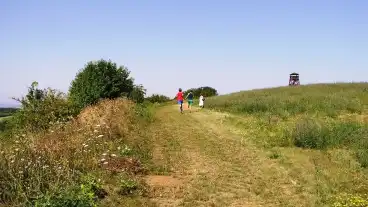 Kirandulastervezo Csesztve Csillagosveny