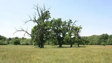 Kirandulastervezo Csonyavisonta Fas Legelo