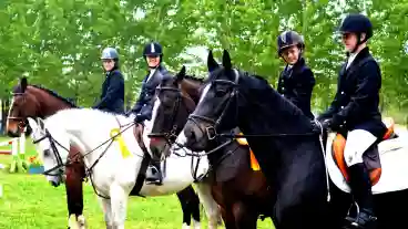 Kirandulastervezo Doge Ameko Lovasudvar