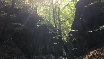 Kirandulastervezo Domoszlo Tarjanka Szurdok 1