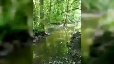 Kirandulastervezo Ecseg Tanosveny