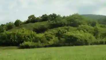 Kirandulastervezo Ecseg Vardomb