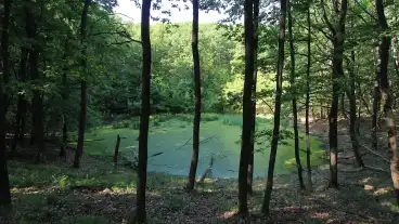 Kirandulastervezo Egerbakta Tozegmohas Laptavak