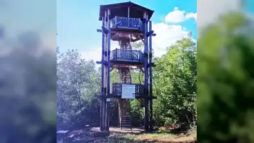 Kirandulastervezo Felsonyarad Malom Erdei Kilato