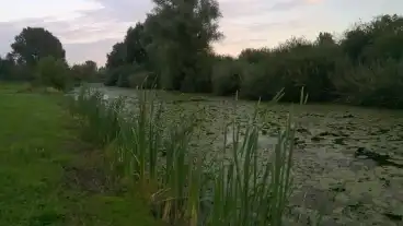 Kirandulastervezo Felsoszentmarton Mrtvica To