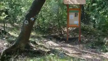 Kirandulastervezo Felsotarkany Barat Reti Tanosveny