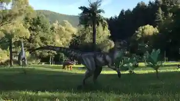 Kirandulastervezo Felsotarkany Dino Park