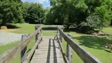 Kirandulastervezo Felsotarkany Egresvolgyi Vadaspark 01