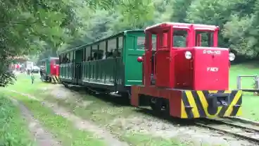 Kirandulastervezo Felsotarkany Kisvasut