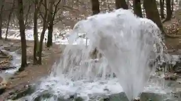 Kirandulastervezo Felsotarkany Vorosko Forras