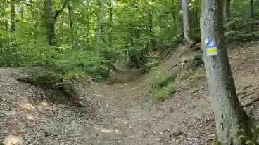 Kirandulastervezo Felsotarkanyi Kokozi Tanosveny 01