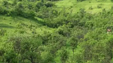 Kirandulastervezo Gomorszolos Hatarjaras Tanosveny