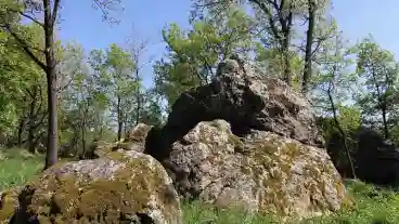 Kirandulastervezo Gyongyossolymos Babako