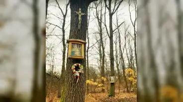 Kirandulastervezo Gyongyostarjan Kepes Fa