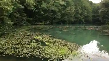 Kirandulastervezo Josvafo Tengerszem 1