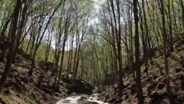 Kirandulastervezo Josvafo Tohonya Kuriszlan Tanosveny