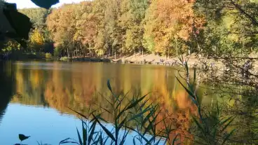 Kirandulastervezo Kaposszerdahely Tokaji Parkerdo