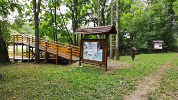 Kirandulastervezo Kaposvar Deseda Pa Tanosveny 01