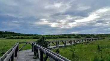 Kirandulastervezo Kaszo Balata To 1